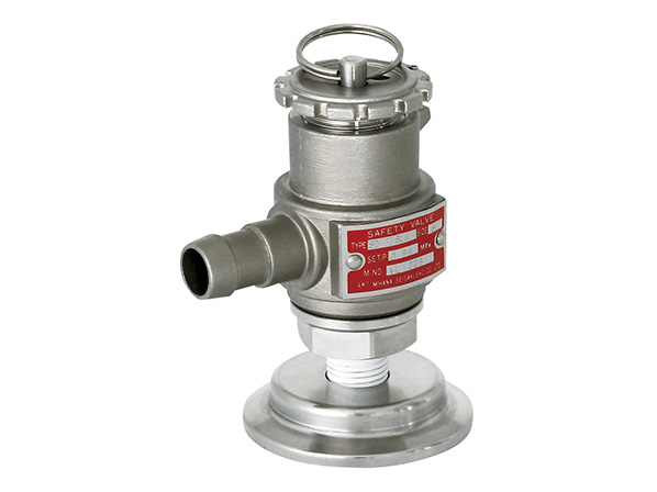 S-1 : Safety Valve