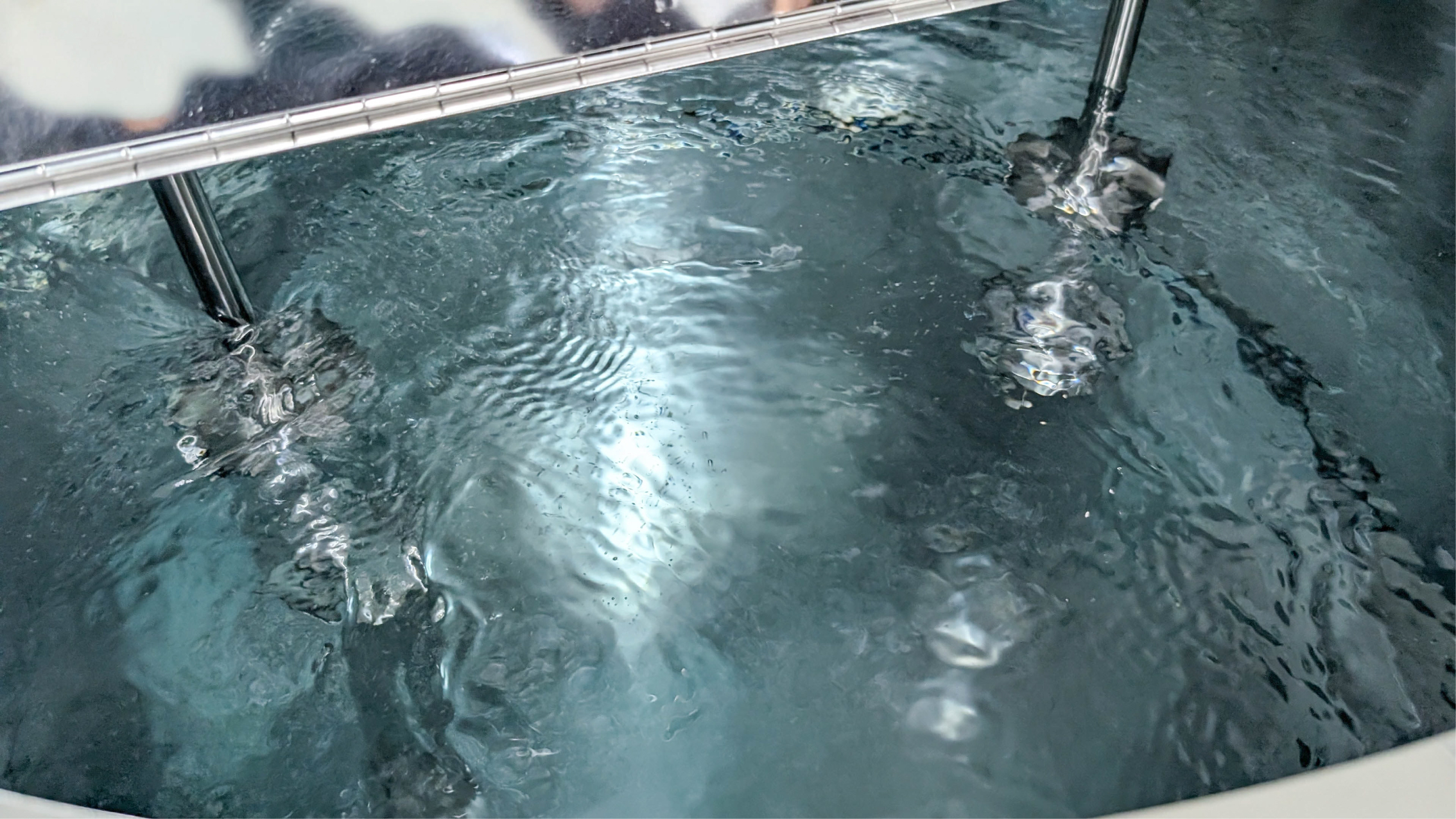 Water test showing a calm surface even at high mixing speed